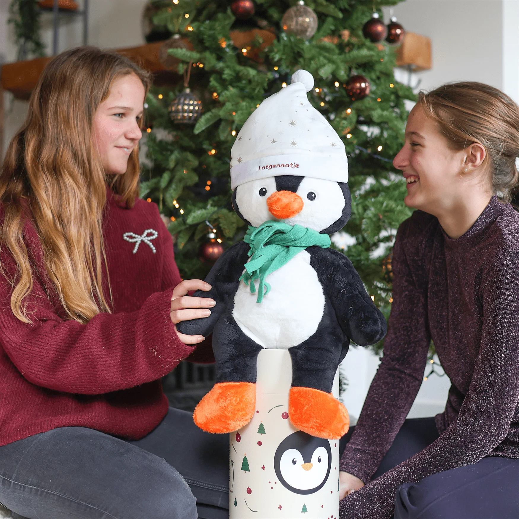 Lotgenootje Kerstmuts - Image 12