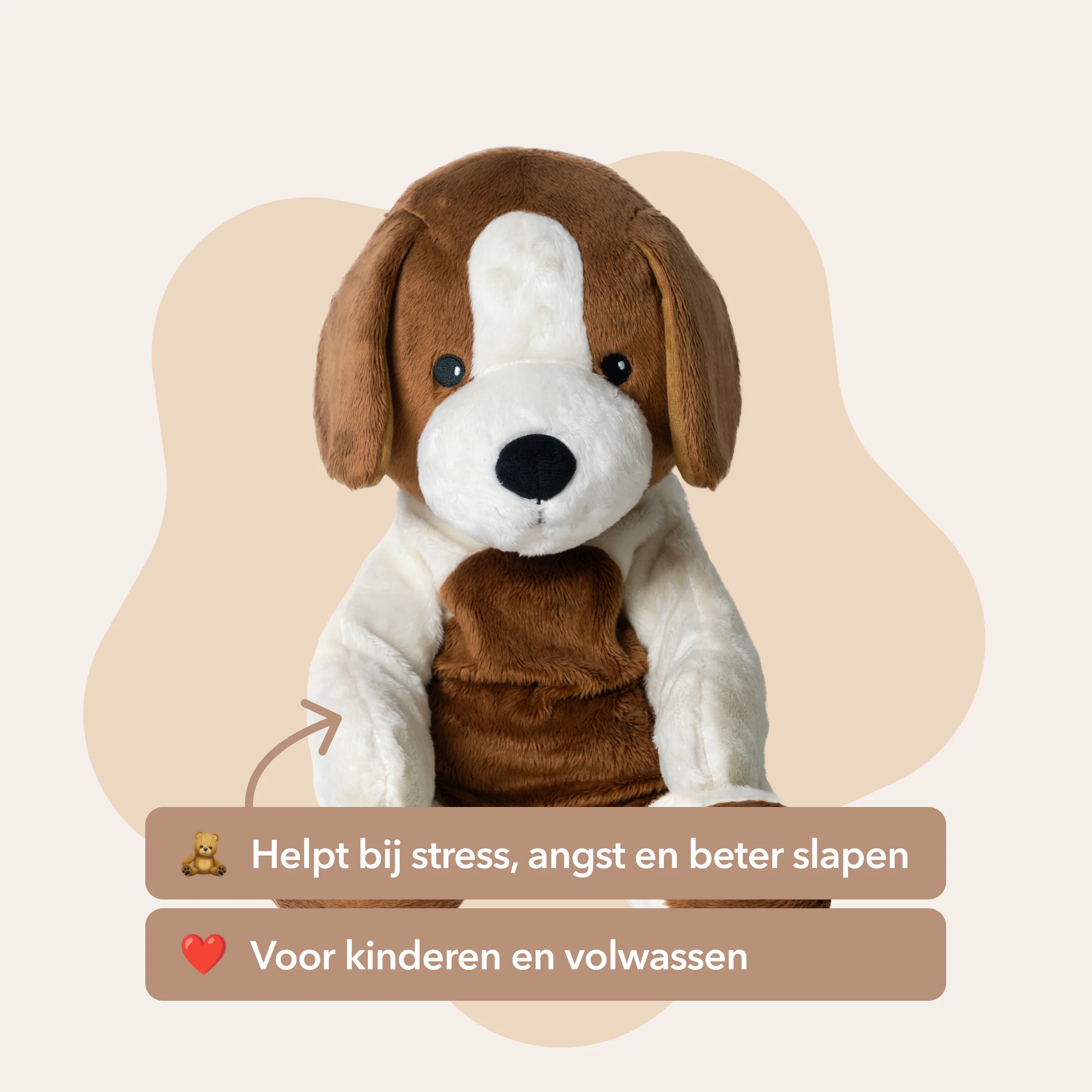 De beste Lotgenootje deal – Alle 4 Lotgenootjes in 1 - Je bespaart €70 - Image 3