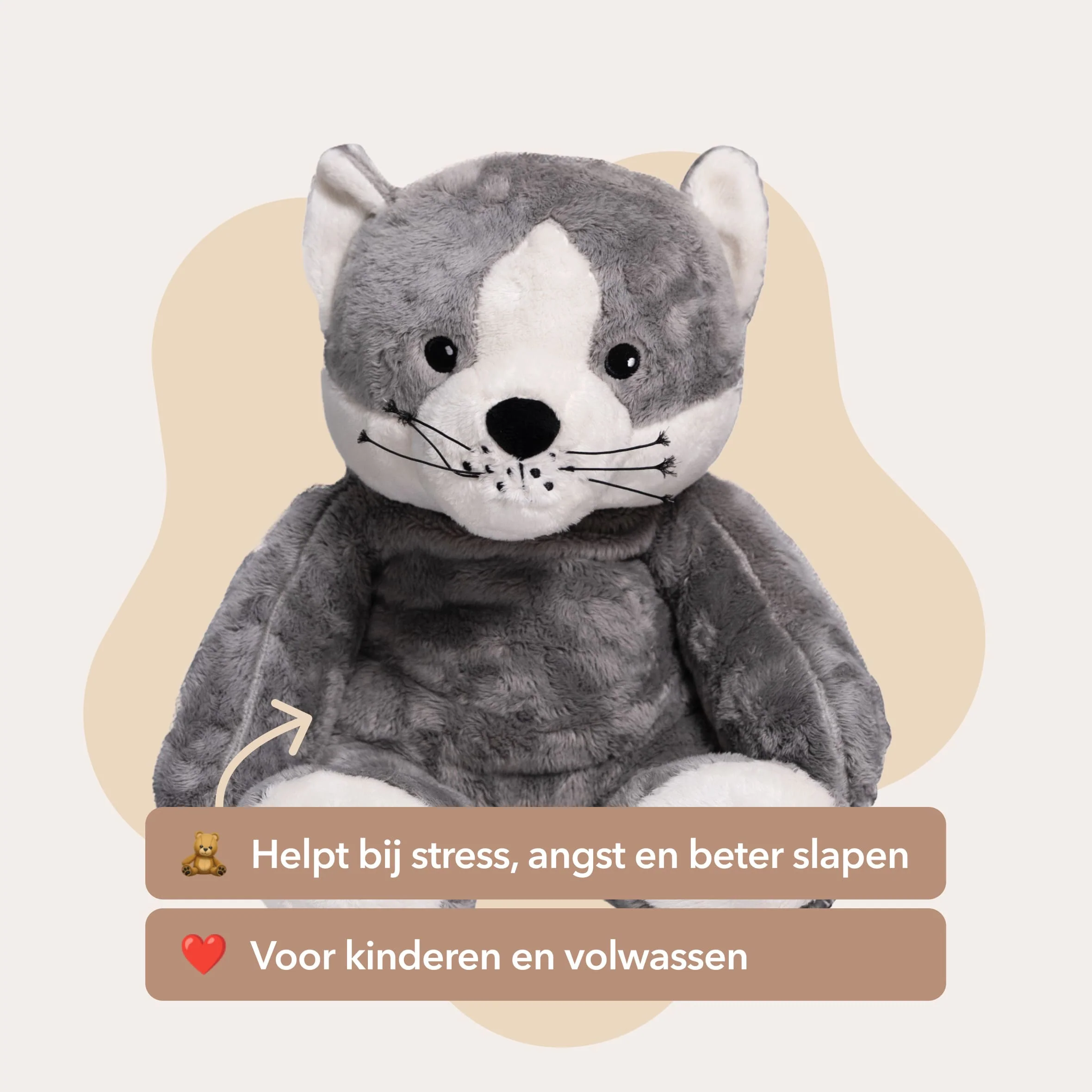 Mini & Grote kat - Je bespaart €20 - Image 2