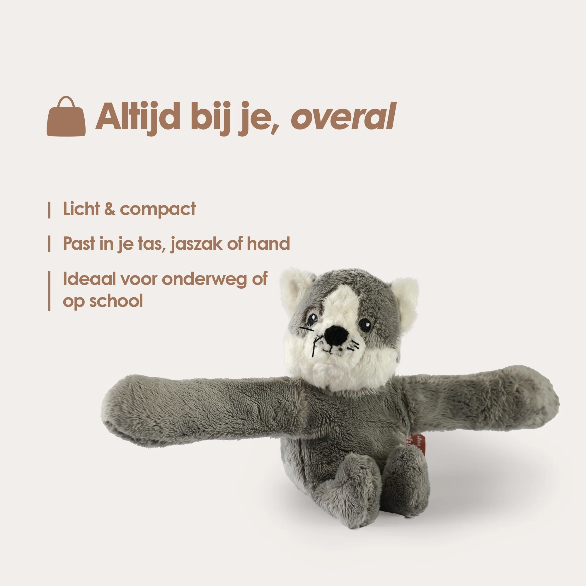 Mini Lotgenootje Kat - Image 4