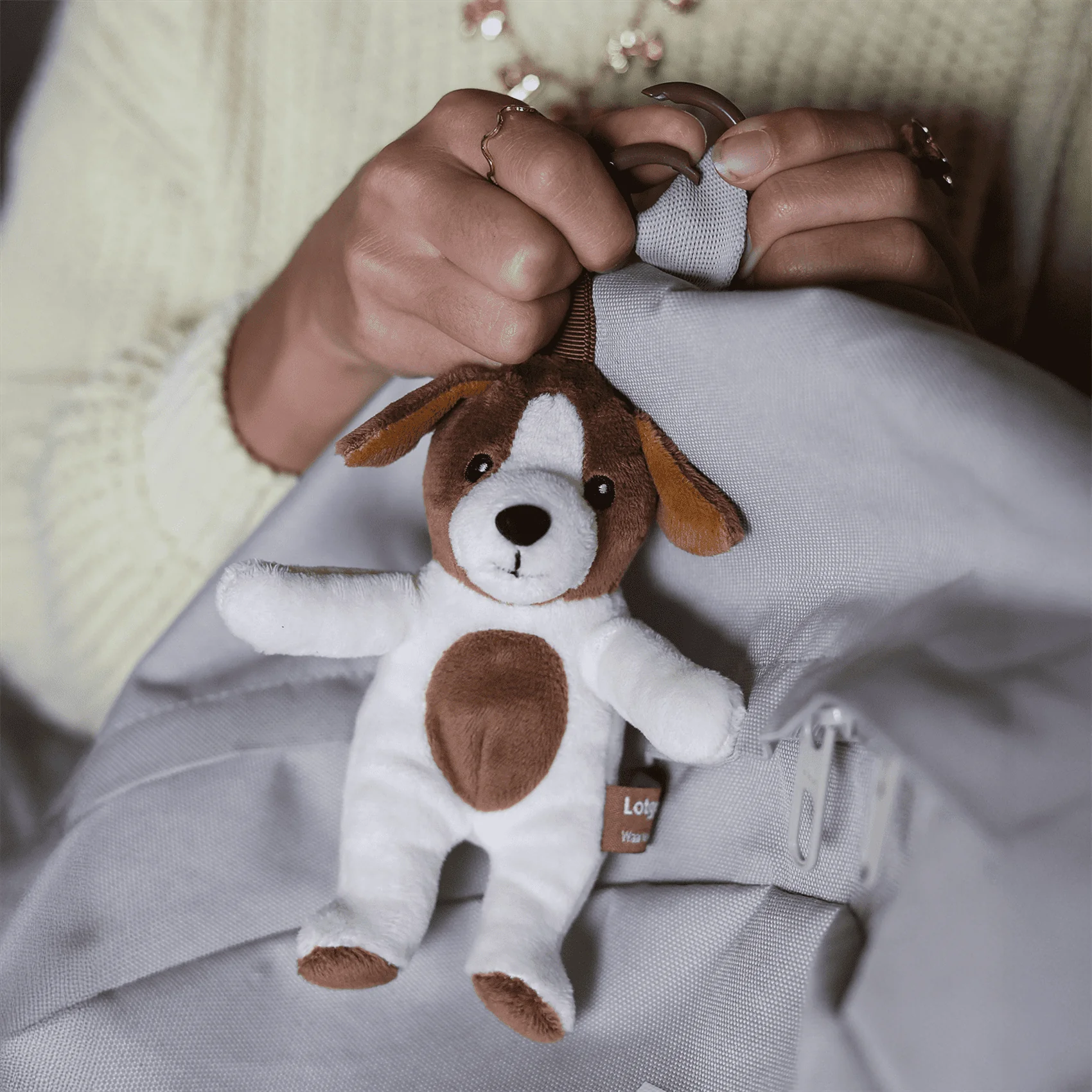 Reisgenootje Tashanger Hond - Image 13