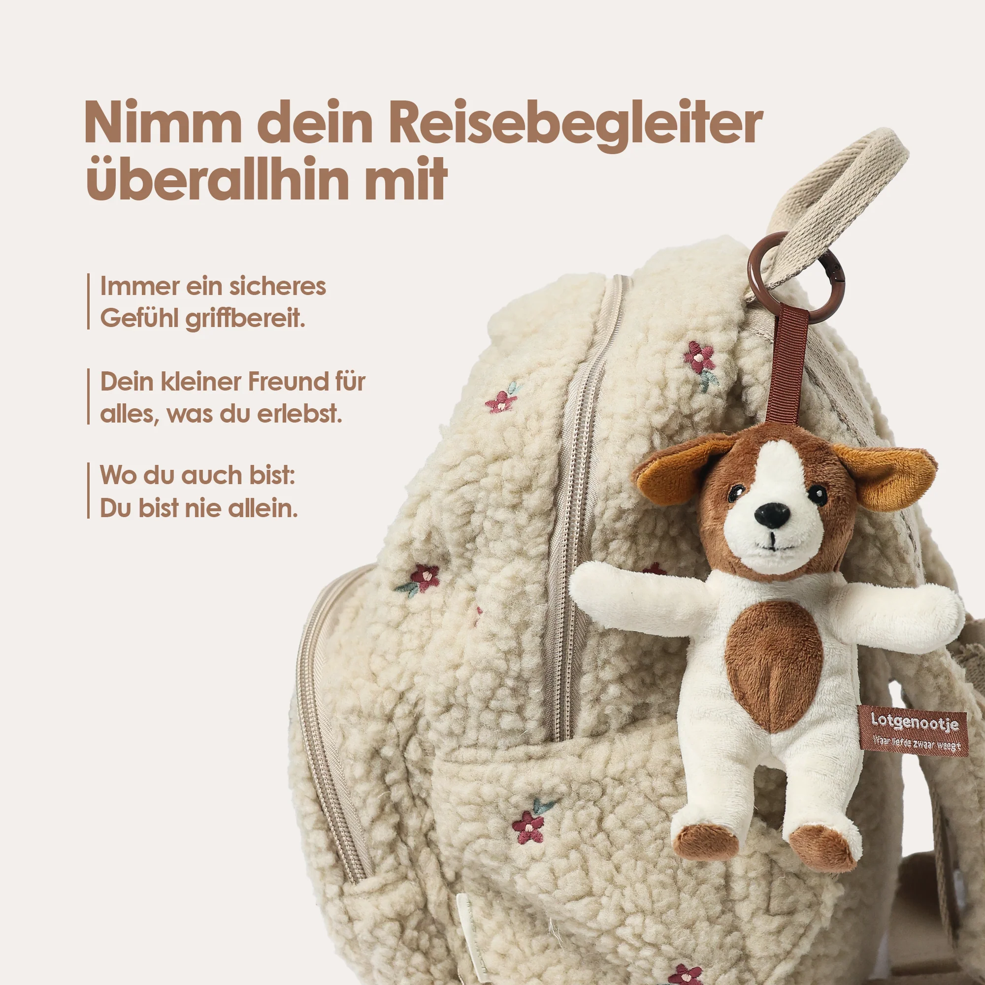 Reisgenootje Tashanger Hond - Image 9