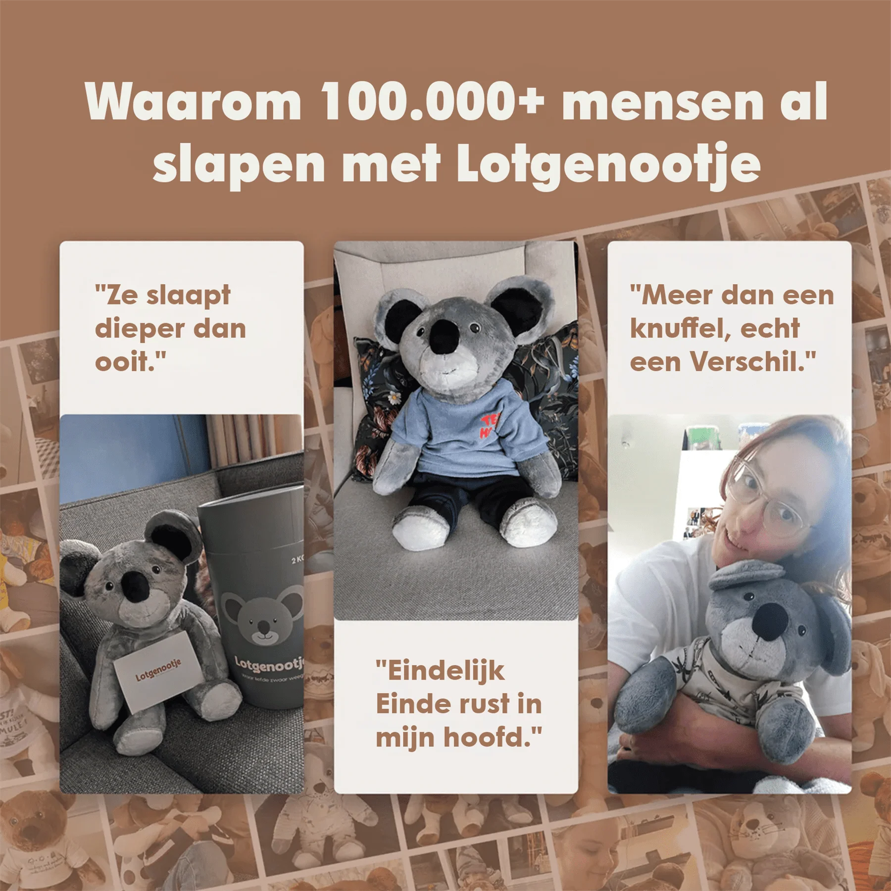 Lotgenootje Koala 2kg - Image 15