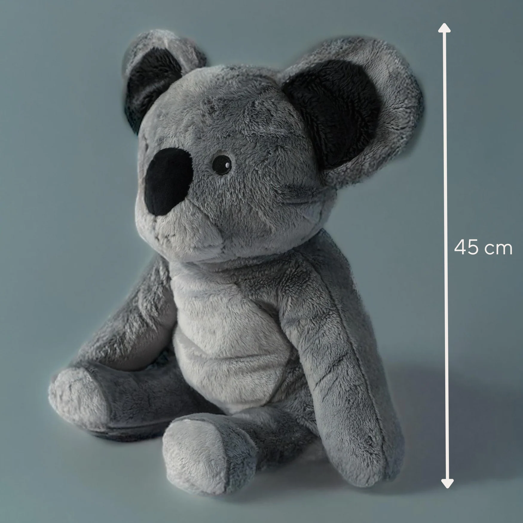 Lotgenootje Koala 2kg - Image 26
