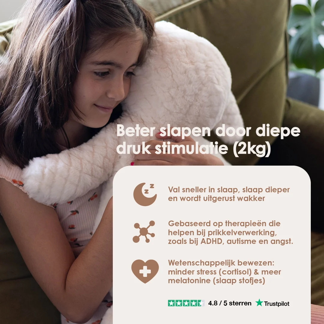 Lotgenootje Schaap 2kg - Image 6